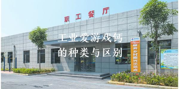 工業(yè)碳酸鈣的種類(lèi)與區(qū)別