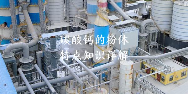 碳酸鈣的粉體特點(diǎn)知識(shí)詳解
