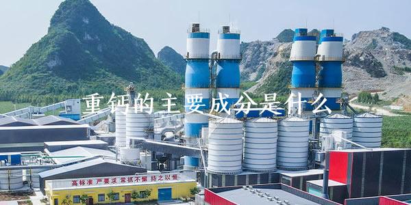 重鈣的主要成分是什么